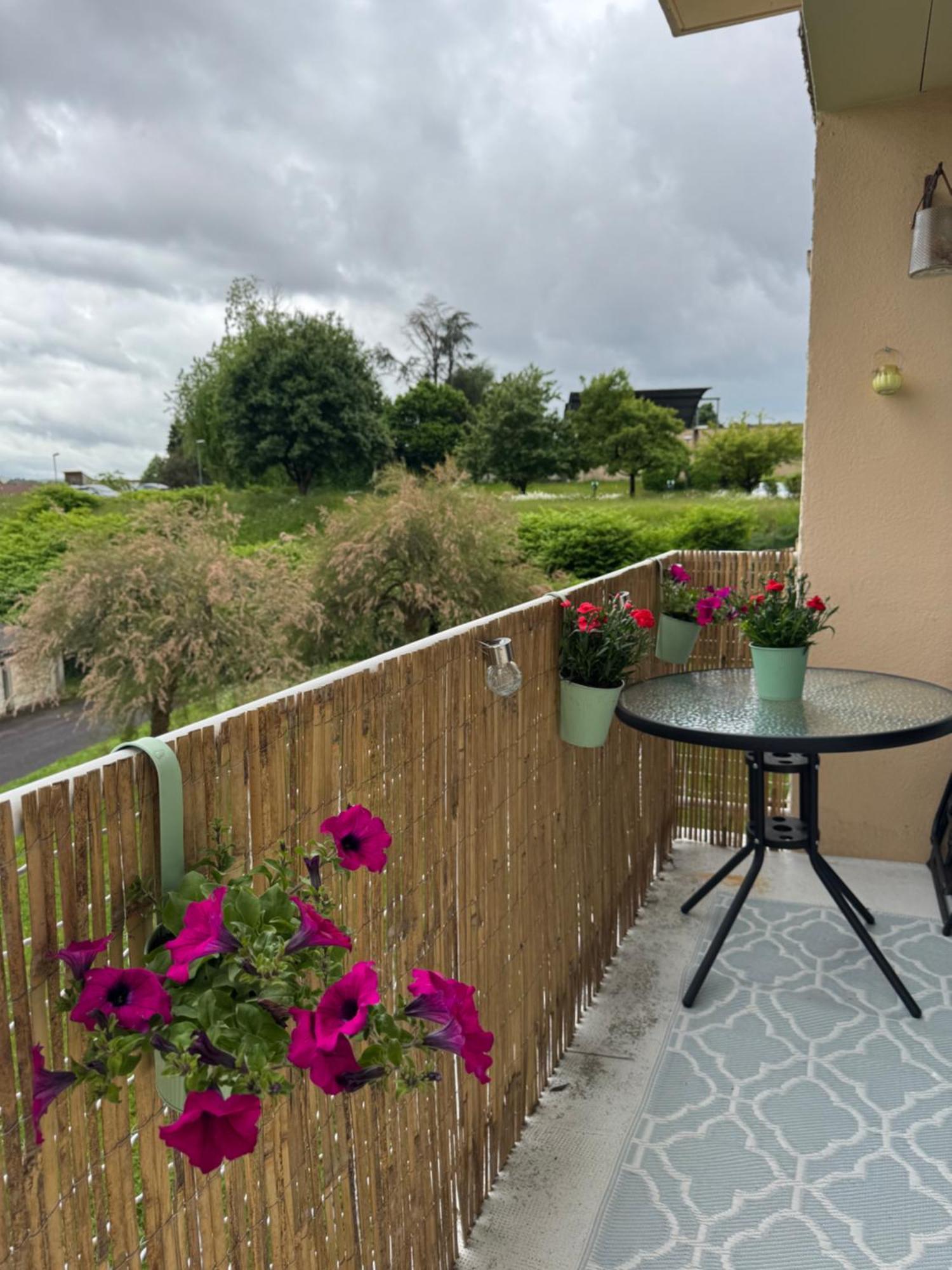 Appartement Chaleureux Et Spacieux T3 Limoges Esterno foto